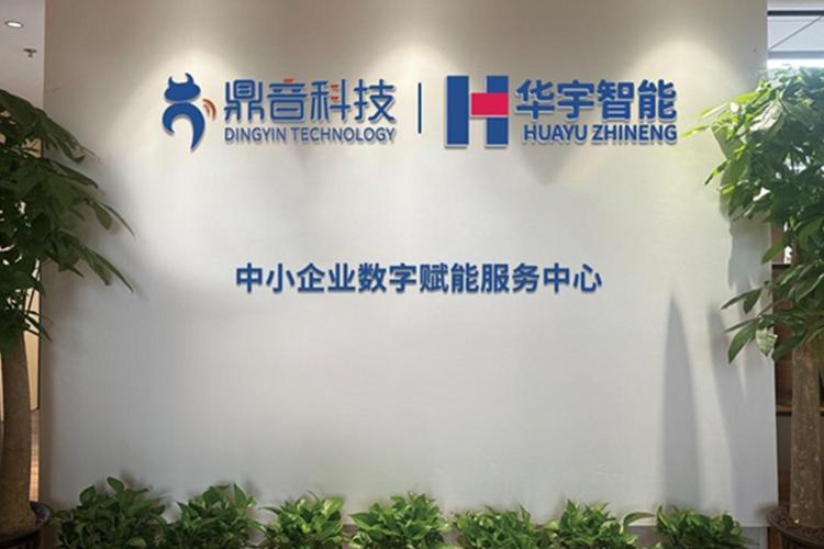深圳鼎音网络科技 专注网络技术服务，赋能数字化未来